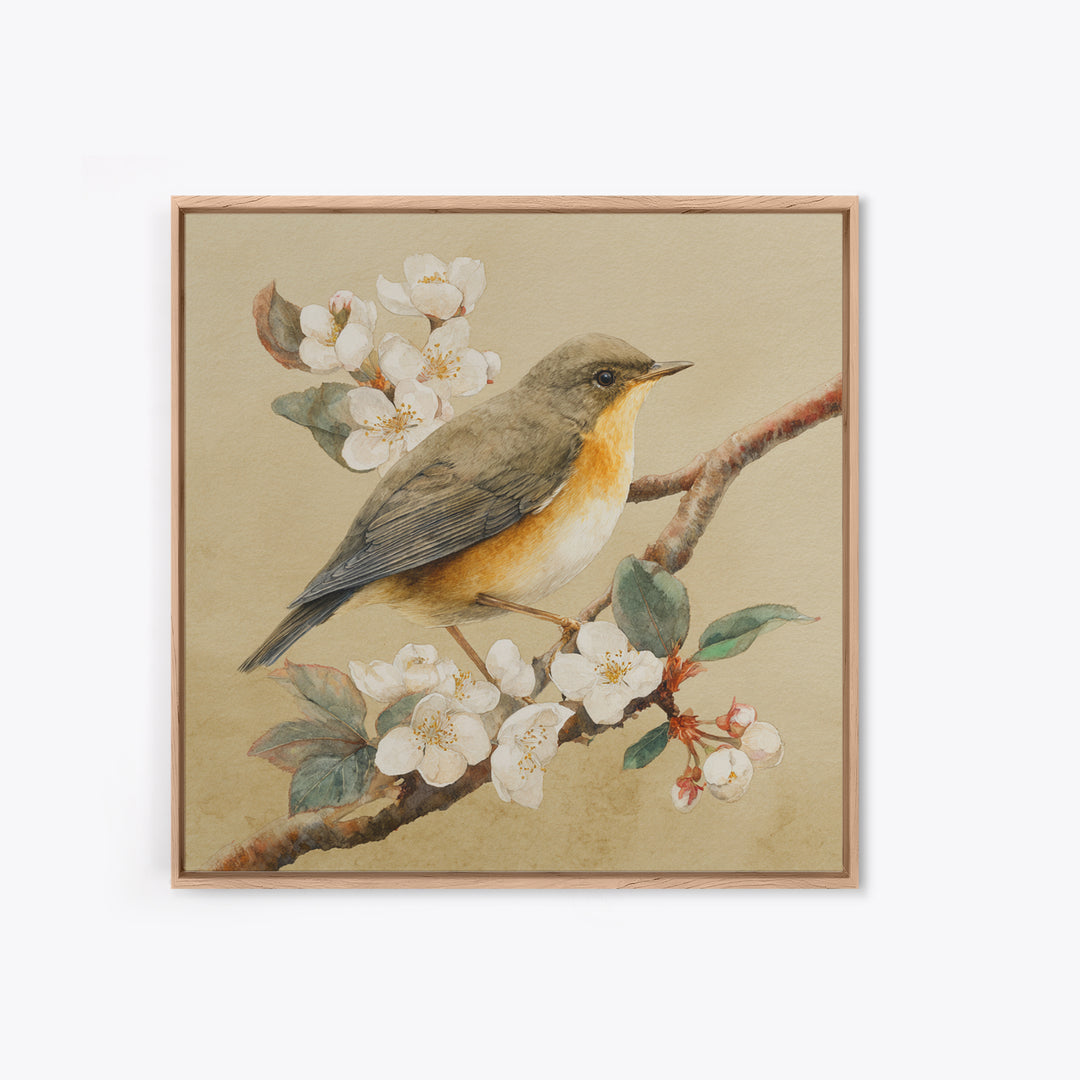 Songbird Perched on Cherry Blossoms Framed Canvas Print, Bird Art, Gallery Decor, Living Room Decor, Fine Art, Flight, BIR-1x1-32