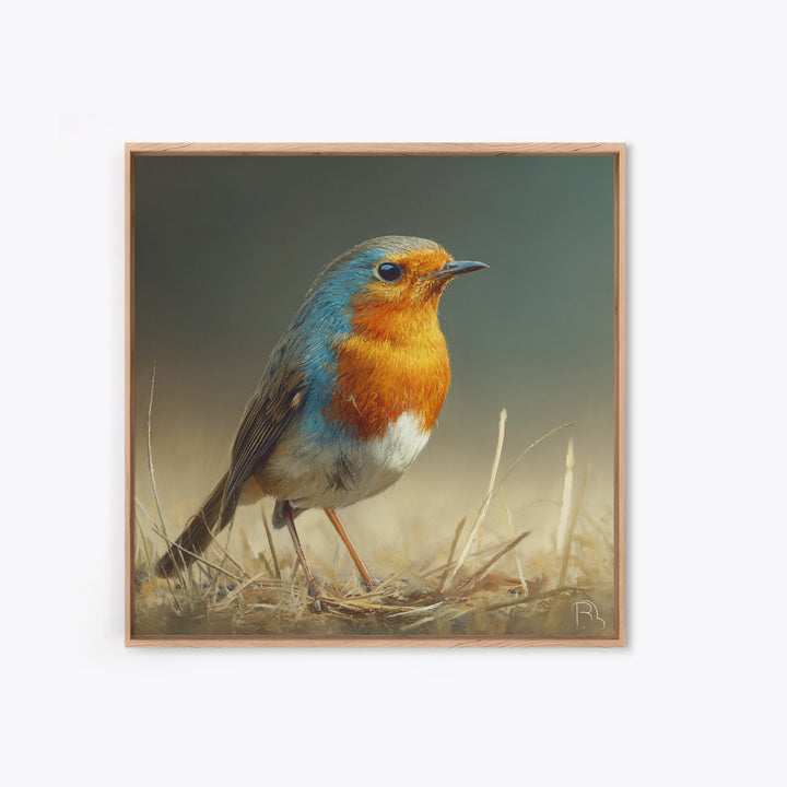 Robin in a Spring Garden with Soft Framed Canvas Print, Bird Art, Gallery Wall, Living Room Decor, Flight, Gallery Decor, BIR-1x1-39