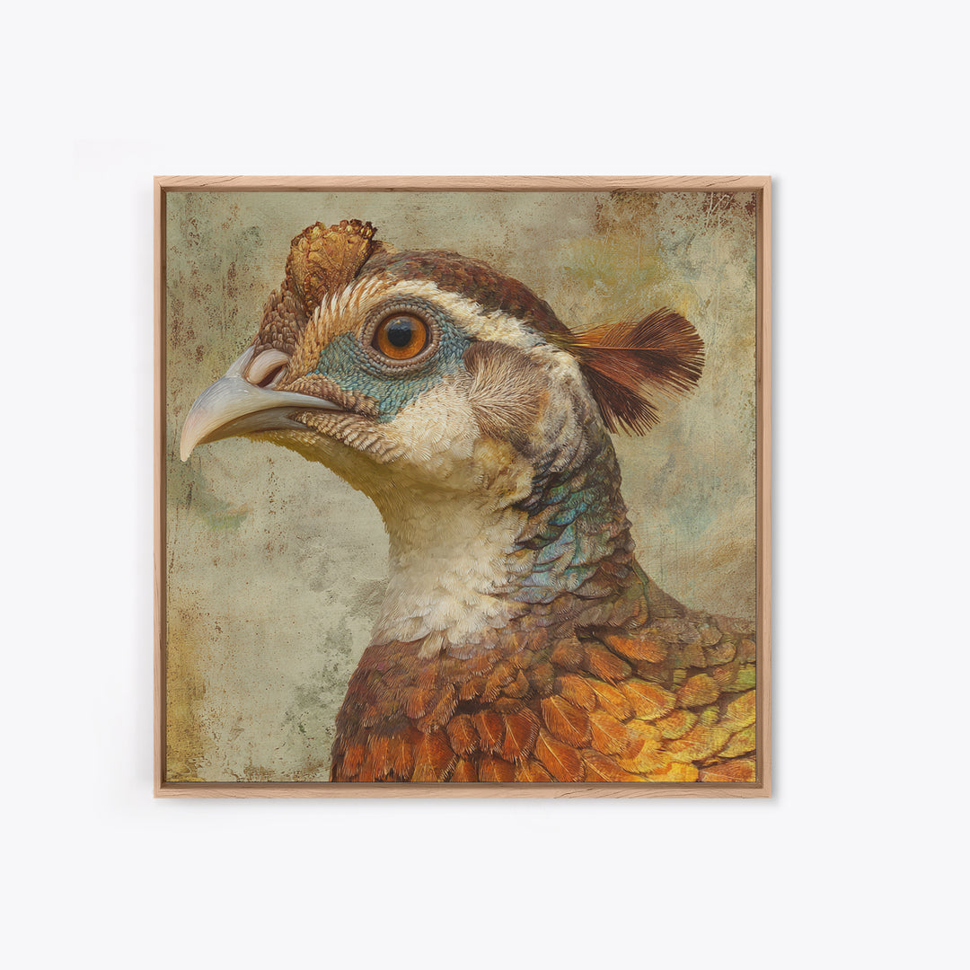 Pheasant with Ornate Feather Details Framed Canvas Print, Bird Art, Mcm Decor, Living Room Decor, Oil Painting, Flight, BIR-1x1-43