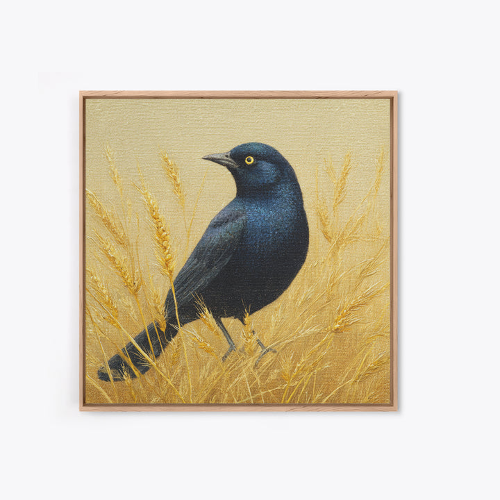 Blackbird on Gold Wheat Field Framed Canvas Print, Bird Art, Wall Decor, Living Room Decor, Fine Art, Flight, Boho Wall Decor, BIR-1x1-48