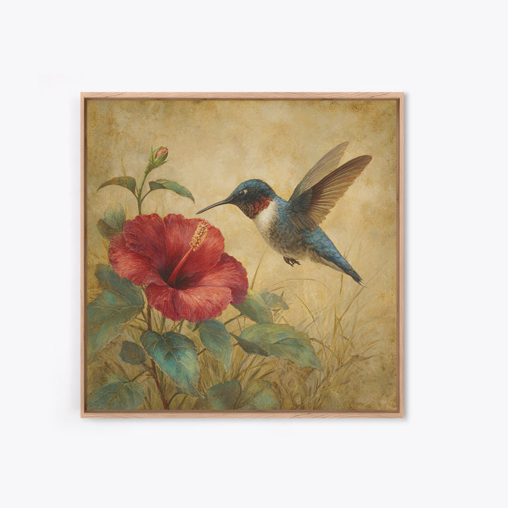 Hummingbird Hovering Beside Bright Hibiscus Framed Canvas Print, Bird Art, Gallery Wall, Living Room Decor, Fine Art, Flight, BIR-1x1-52