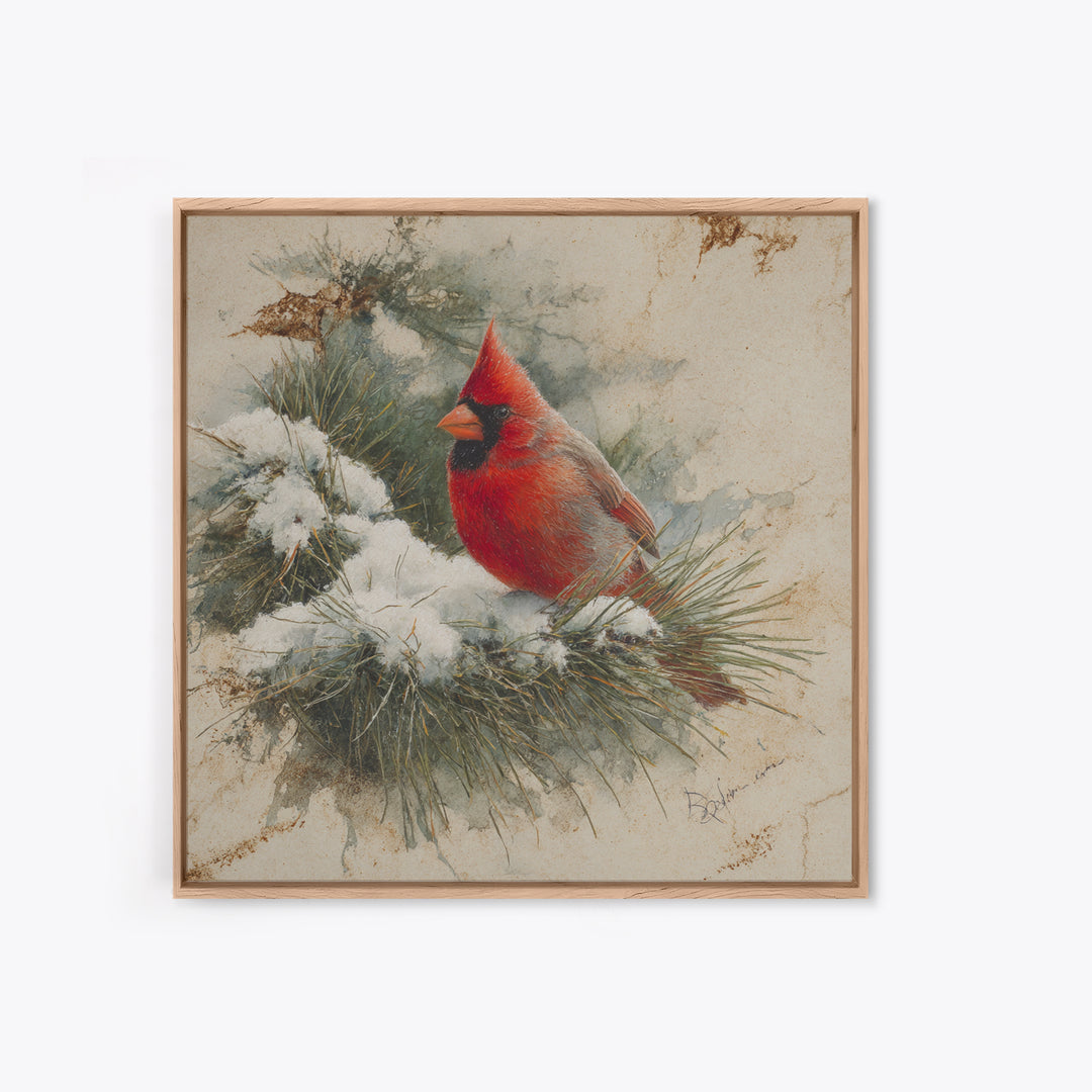 Red Cardinal on Snowy Pine Branch Framed Canvas Print, Bird Art, Art Print, Living Room Decor, Fine Art, Flight, Original Art, BIR-1x1-73
