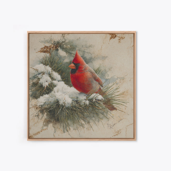 Red Cardinal on Snowy Pine Branch Framed Canvas Print, Bird Art, Art Print, Living Room Decor, Fine Art, Flight, Original Art, BIR-1x1-73