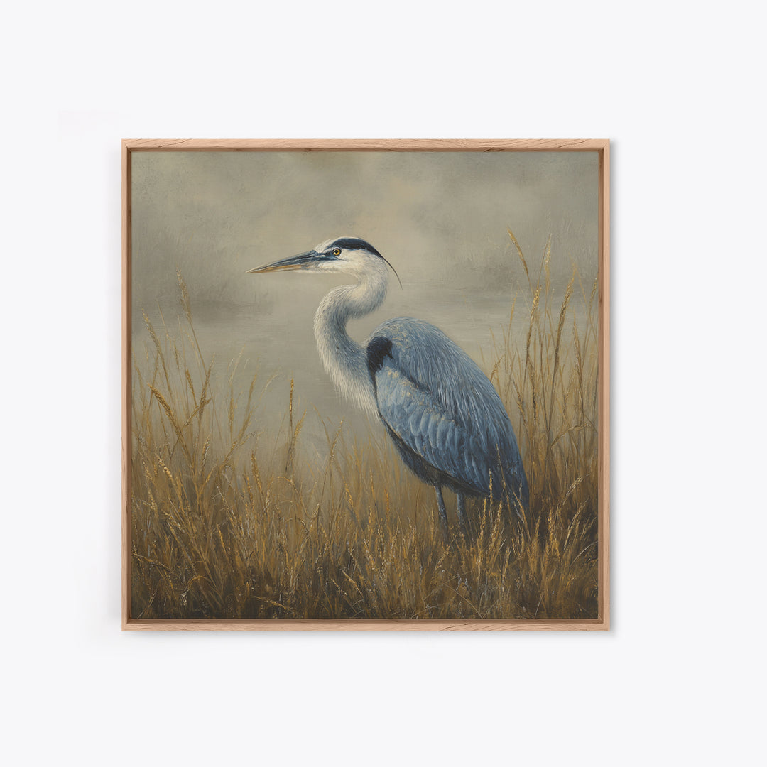 Blue Heron in Misty Marsh Grass Framed Canvas Print, Bird Art, Forest Wall Art, Living Room Decor, Flight, Minimalist Decor, BIR-1x1-74