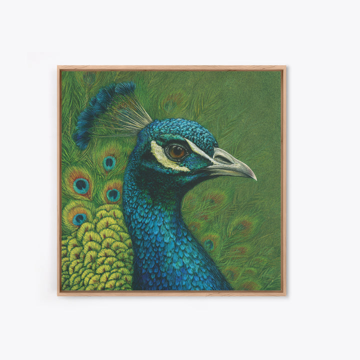 Peacock with Jewel Tone Feather Pattern Framed Canvas Print, Bird Art, Fine Art Print, Living Room Decor, Oil Painting, Flight, BIR-1x1-79