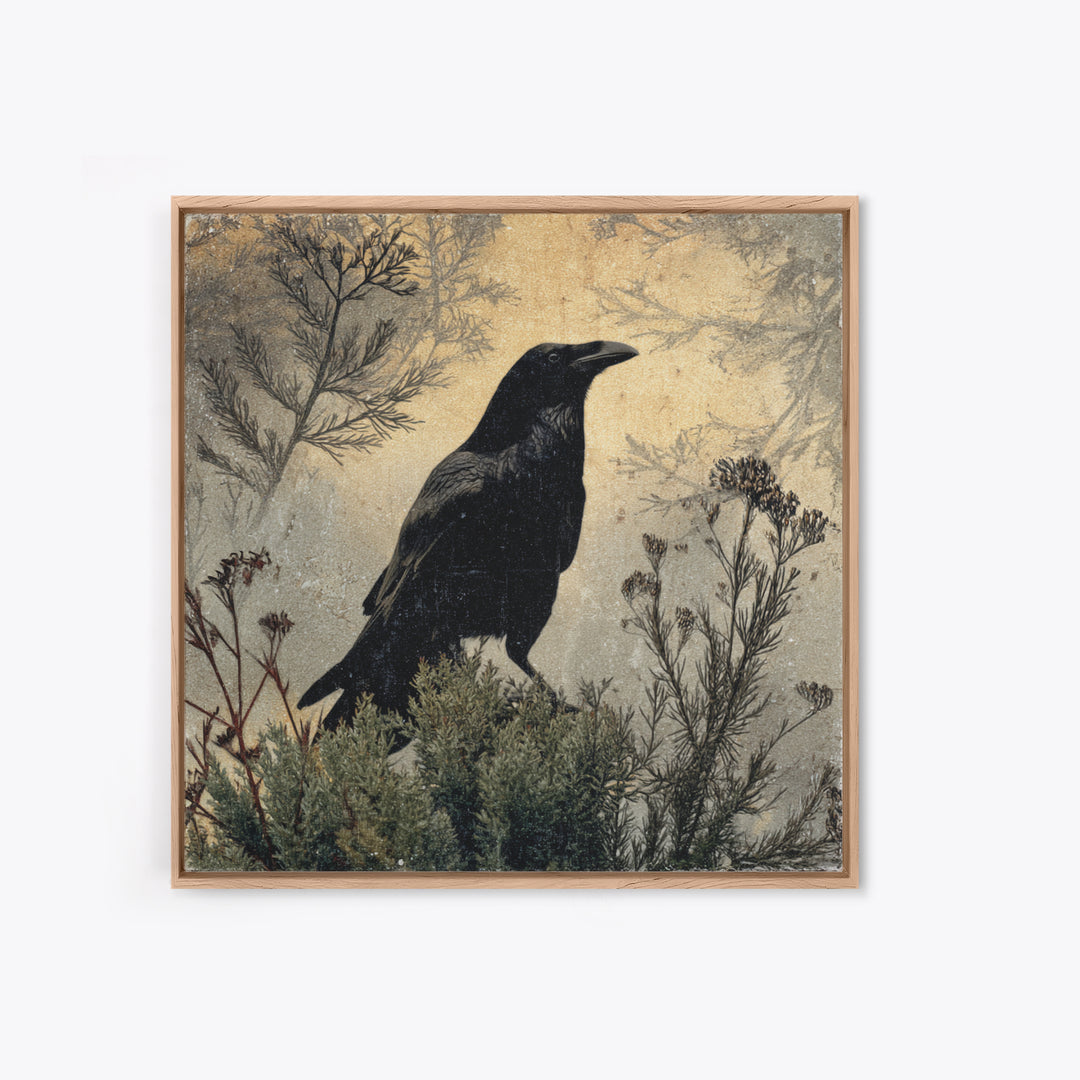 Raven Silhouette with Gothic Atmosphere Canvas Print, Bird Art, Textured Painting, Living Room Decor, Fine Art, Flight, BIR-1x1-81