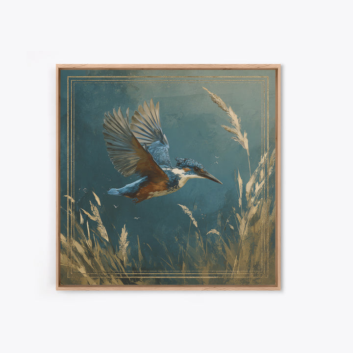 Kingfisher Diving Toward Blue Water Framed Canvas Print, Bird Art, Statement Artwork, Living Room Decor, Fine Art, Flight, BIR-1x1-83