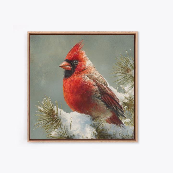 Red Cardinal on Snowy Pine Branch Canvas Print, Bird Art, Wall Art, Living Room Decor, Fine Art, Flight, Japanese Wall Art, BIR-1x1-97