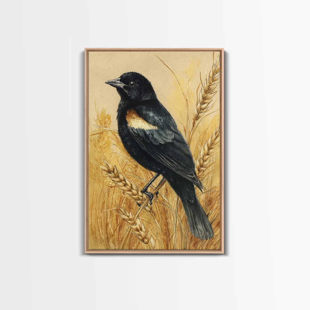 Blackbird on Gold Wheat Field Canvas Print, Bird Art, Bird Wall Art, Living Room Decor, Fine Art, Flight, Art Print, BIR-2x3-32