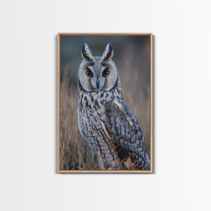 Owl Portrait with Wise Golden Eyes Framed Canvas Print, Bird Art, Digital Prints, Living Room Decor, Fine Art, Flight, BIR-2x3-37
