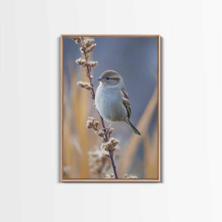 Small Sparrow on Wildflower Stem Framed Canvas Print, Bird Art, Textured Painting, Living Room Decor, Fine Art, Flight, BIR-2x3-46