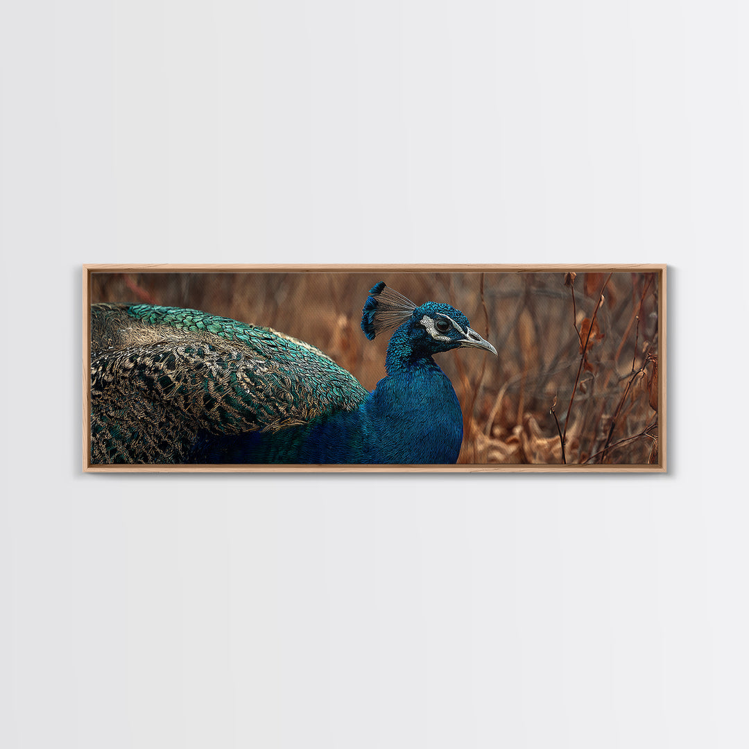 Peacock with Jewel Tone Feather Pattern Canvas Print, Bird Art, Printable Art, Living Room Decor, Flight, Mid Century Wall Art, BIR-3x1-71