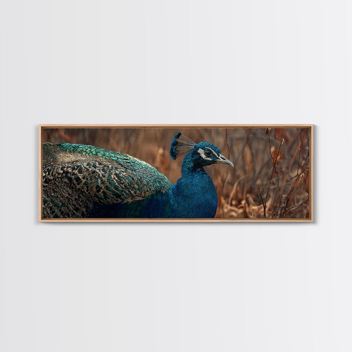 Peacock with Jewel Tone Feather Pattern Canvas Print, Bird Art, Printable Art, Living Room Decor, Flight, Mid Century Wall Art, BIR-3x1-71