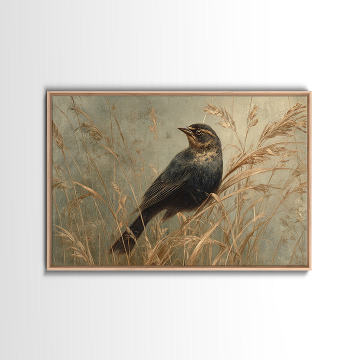 Blackbird on Gold Wheat Field Framed Canvas Print, Bird Art, Fine Art Print, Living Room Decor, Oil Painting, Flight, BIR-3x2-100