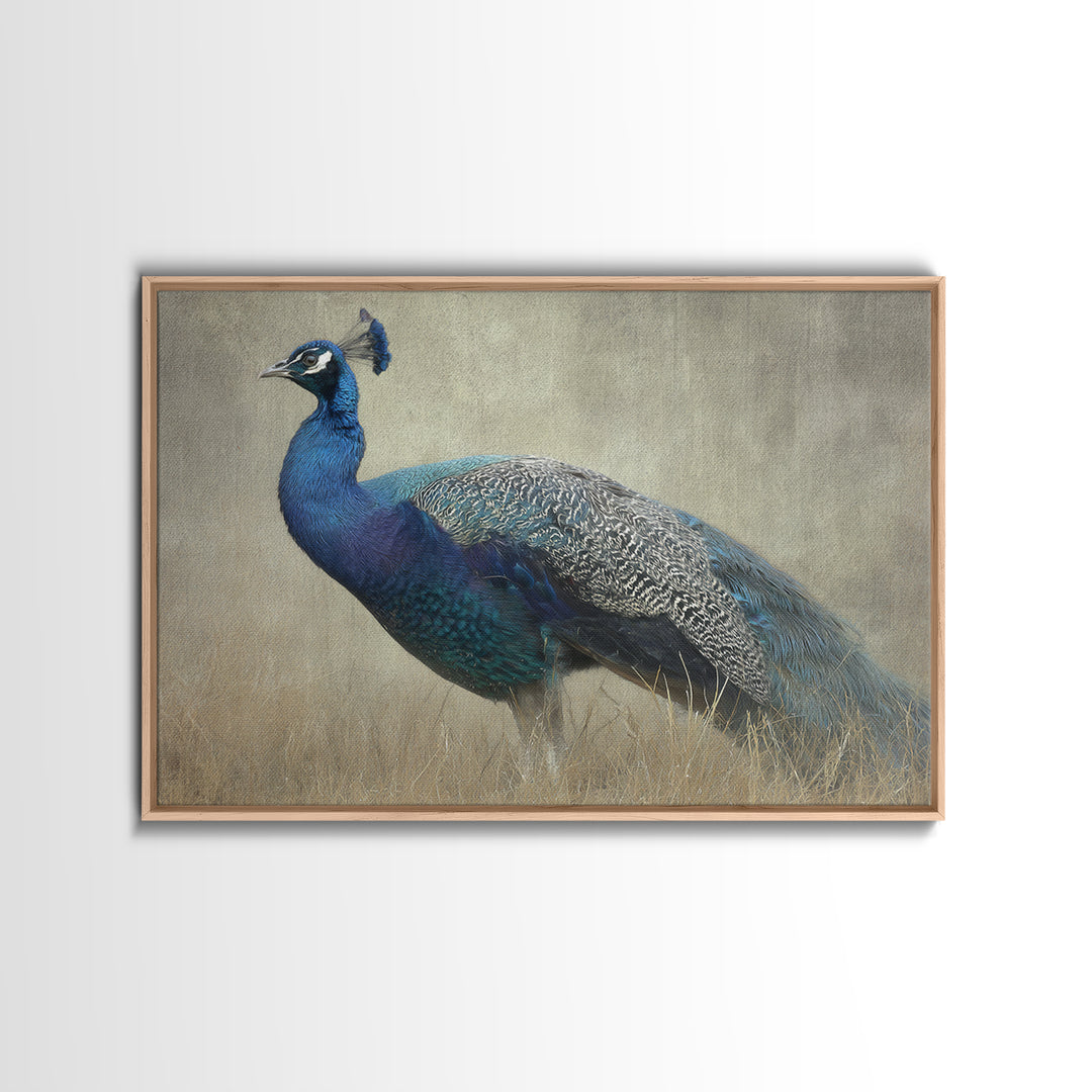 Peacock with Jewel Tone Feather Pattern Framed Canvas Print, Bird Art, Art Print, Living Room Decor, Oil Painting, Flight, BIR-3x2-59