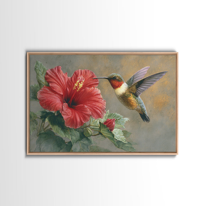 Hummingbird Hovering Beside Bright Hibiscus Framed Canvas Print, Bird Art, Watercolor Painting, Living Room Decor, Oil Painting, BIR-3x2-8