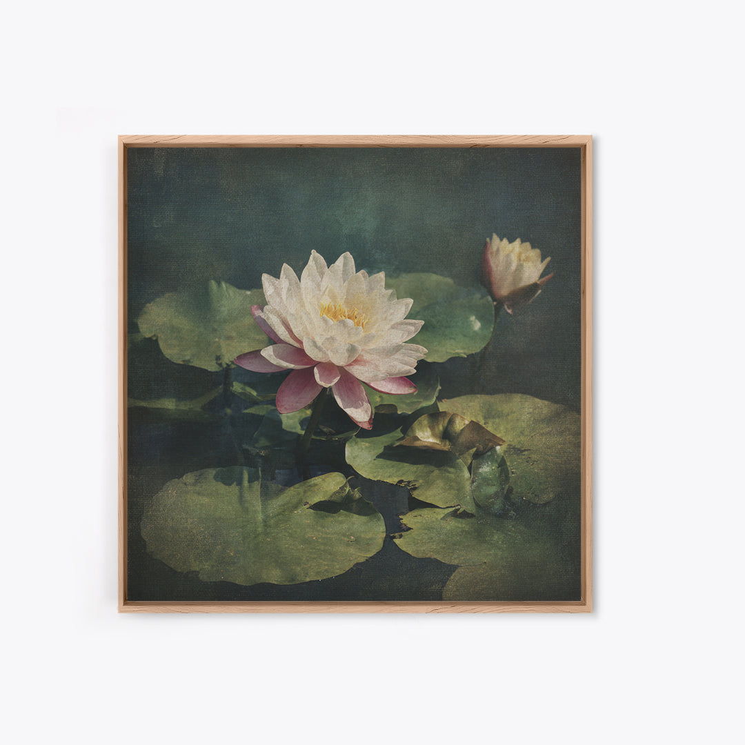 Lotus Flower and Lily Pads on Still Canvas Print, Botanical Art, Framed Wall Art, Living Room Decor, Fine Art, Botanic, BOT-1x1-19