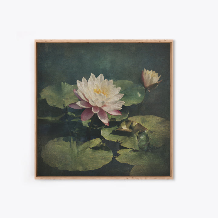 Lotus Flower and Lily Pads on Still Canvas Print, Botanical Art, Framed Wall Art, Living Room Decor, Fine Art, Botanic, BOT-1x1-19