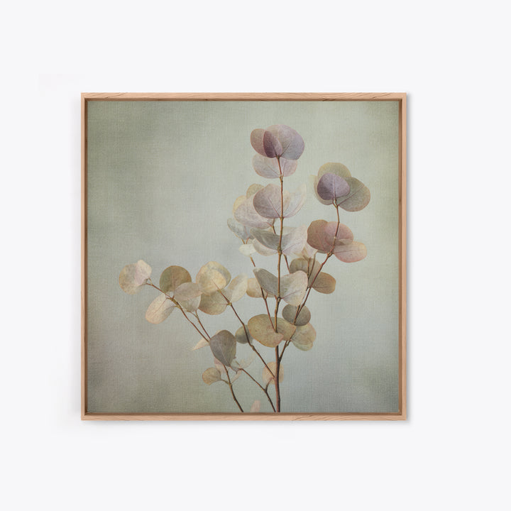 Eucalyptus Stems in Soft Sage Tones Canvas Print, Botanical Art, Gallery Decor, Living Room Decor, Fine Art, Botanic, BOT-1x1-59