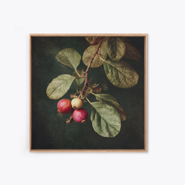 Fig Branch with Fruit and Broad Leaves Framed Canvas Print, Botanical Art, Neutral Decor, Living Room Decor, Oil Painting, BOT-1x1-63