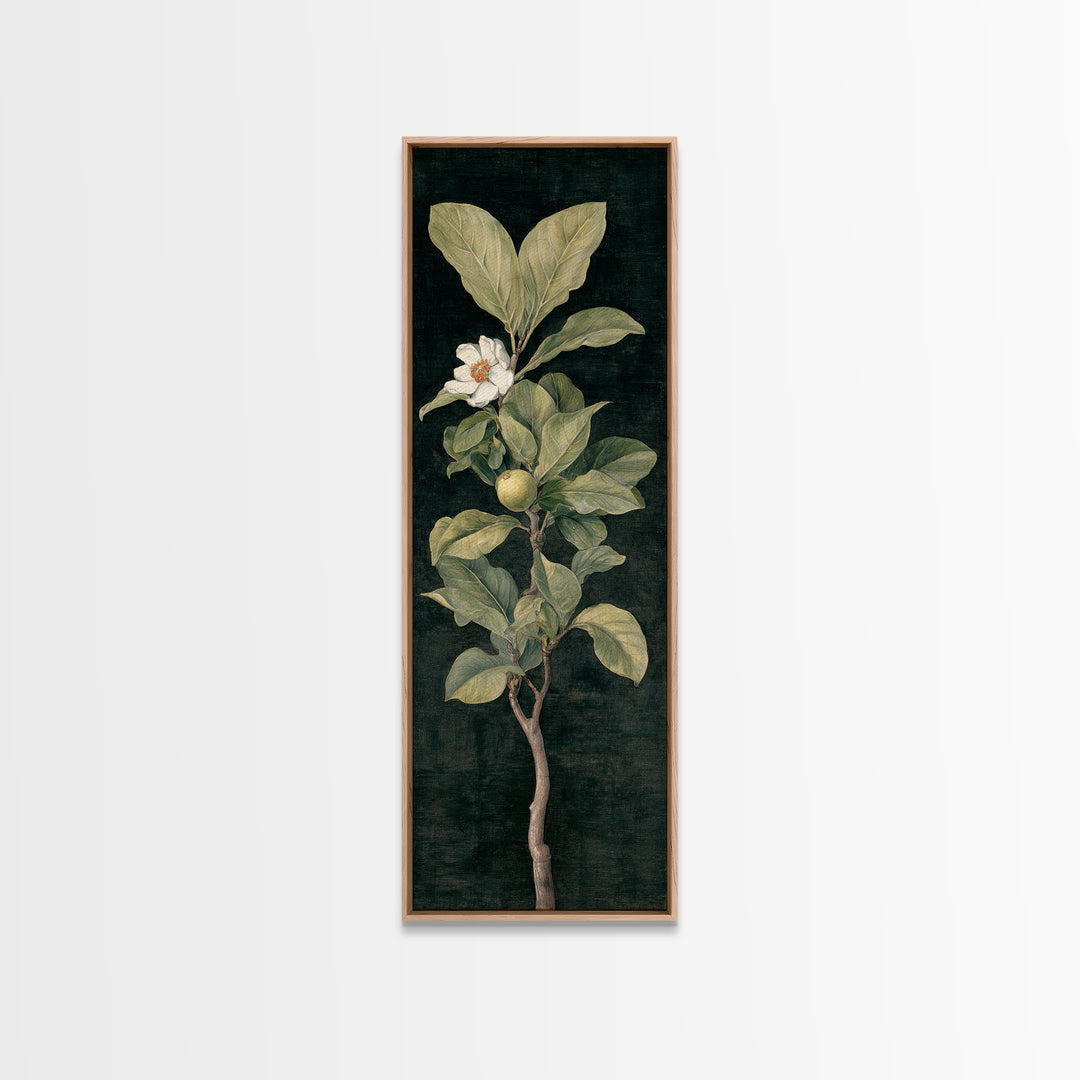 Fig Branch with Fruit and Broad Leaves Canvas Print, Botanical Art, Modern Wall Art, Living Room Decor, Fine Art, Botanic, BOT-1x3-51