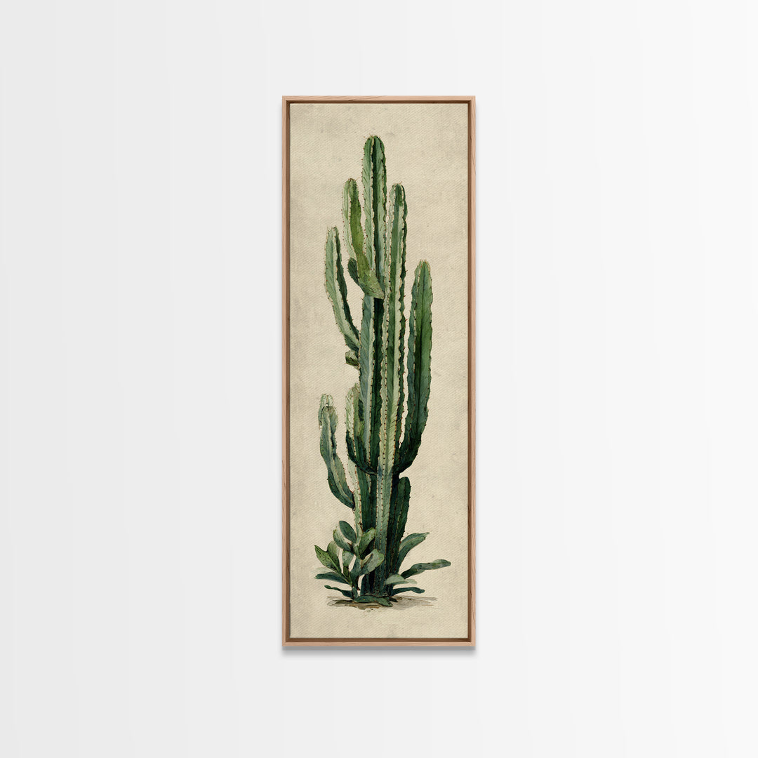 Cactus Botanical Plate Canvas Print, Botanical Art, Digital Wall Art, Living Room Decor, Oil Painting, Botanic, BOT-1x3-73