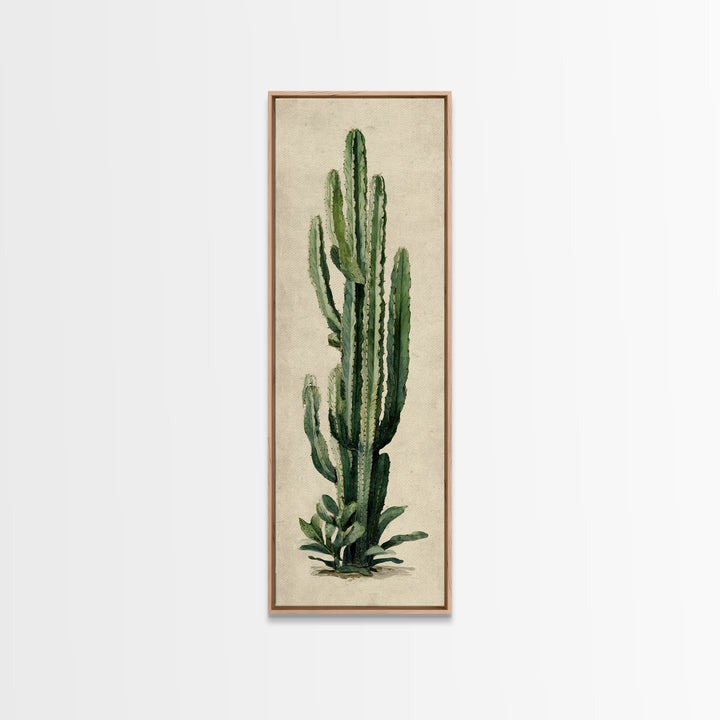 Cactus Botanical Plate Canvas Print, Botanical Art, Digital Wall Art, Living Room Decor, Oil Painting, Botanic, BOT-1x3-73