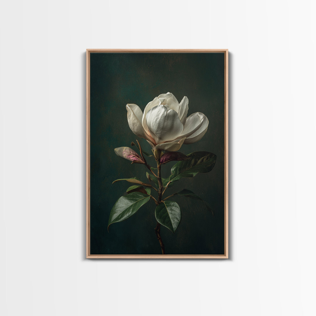 Dramatic White Magnolia on Dark Background Canvas Print, Botanical Art, Wall Art, Living Room Decor, Watercolor Art, Botanic, BOT-2x3-14