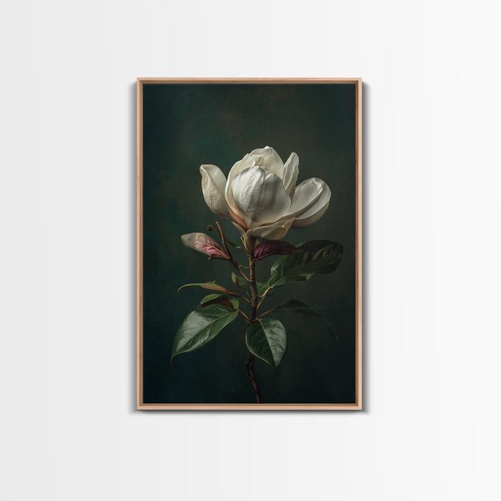 Dramatic White Magnolia on Dark Background Canvas Print, Botanical Art, Wall Art, Living Room Decor, Watercolor Art, Botanic, BOT-2x3-14
