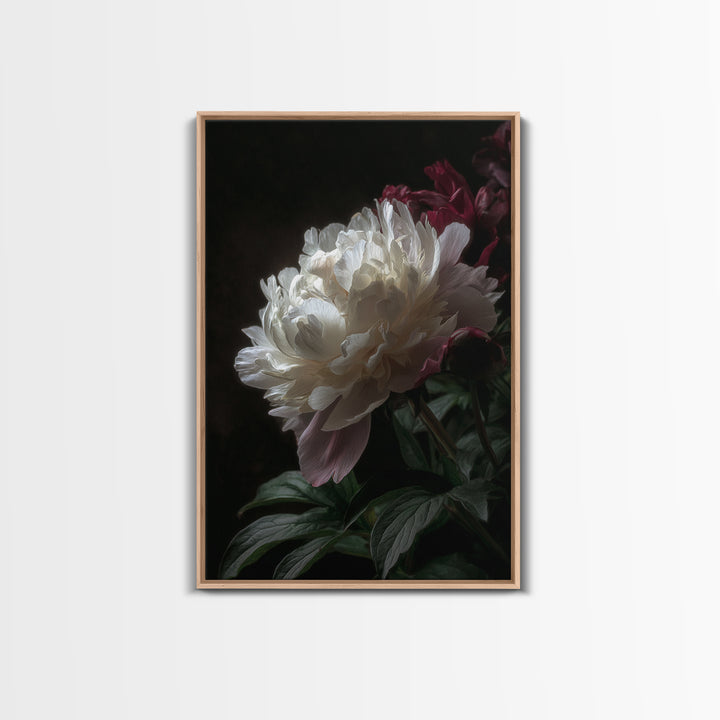 Peony Bloom with Layered Romantic Petals Framed Canvas Print, Botanical Art, Home Decor, Living Room Decor, Fine Art, Botanic, BOT-2x3-42