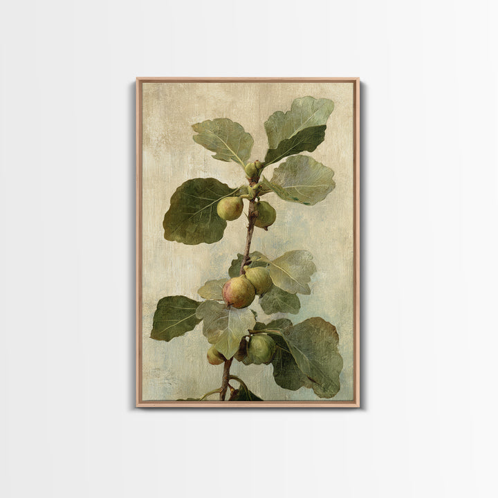 Fig Branch with Fruit and Broad Leaves Framed Canvas Print, Botanical Art, Oil Painting, Living Room Decor, Fine Art, Botanic, BOT-2x3-47
