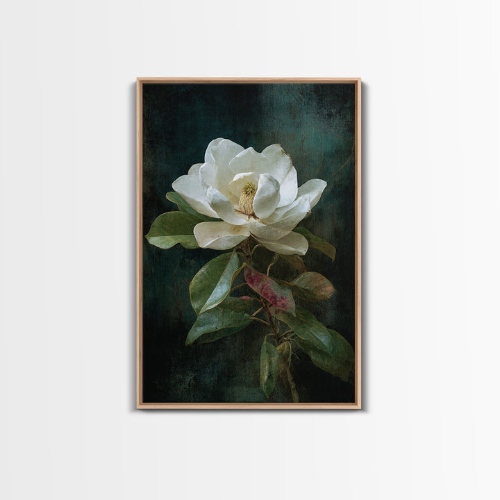 Dramatic White Magnolia on Dark Background Canvas Print, Botanical Art, Oil Painting, Living Room Decor, Fine Art, Botanic, BOT-2x3-86