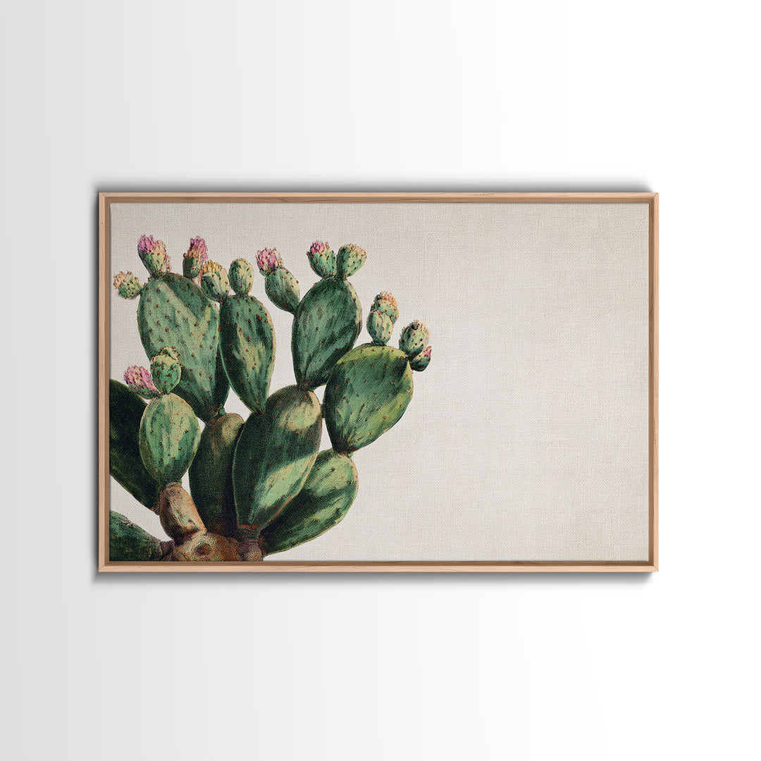Cactus Botanical Plate Framed Canvas Print, Botanical Art, Living Room Wall Art, Living Room Decor, Fine Art, Botanic, BOT-3x2-65