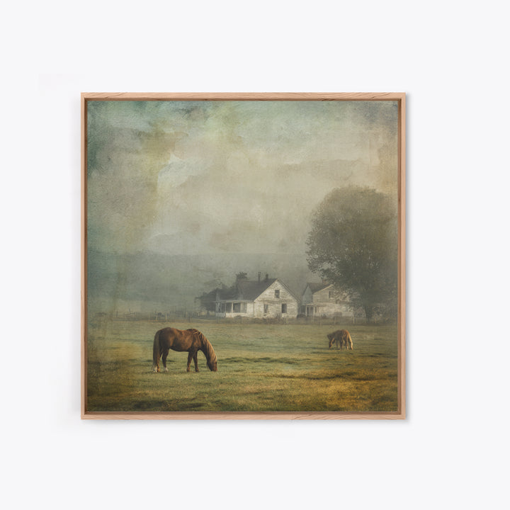 Rolling Pasture with Grazing Horses at Sunrise Framed Canvas Print, Country Art, Farmhouse Wall Art, Farmhouse Decor, Country, COU-1x1-1