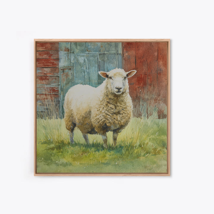 Watercolor Sheep in a Green Pasture Framed Canvas Print, Country Art, French Country, Farmhouse Decor, Fine Art, Country, COU-1x1-71