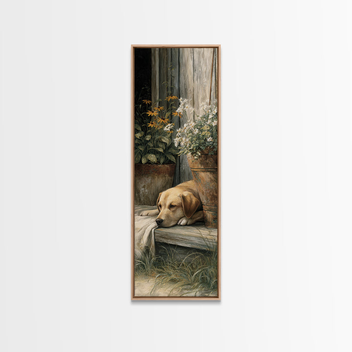 Dog Resting Beside a Porch Flower Pot Canvas Print, Country Art, Gallery Decor, Farmhouse Decor, Fine Art, Country, COU-1x3-82