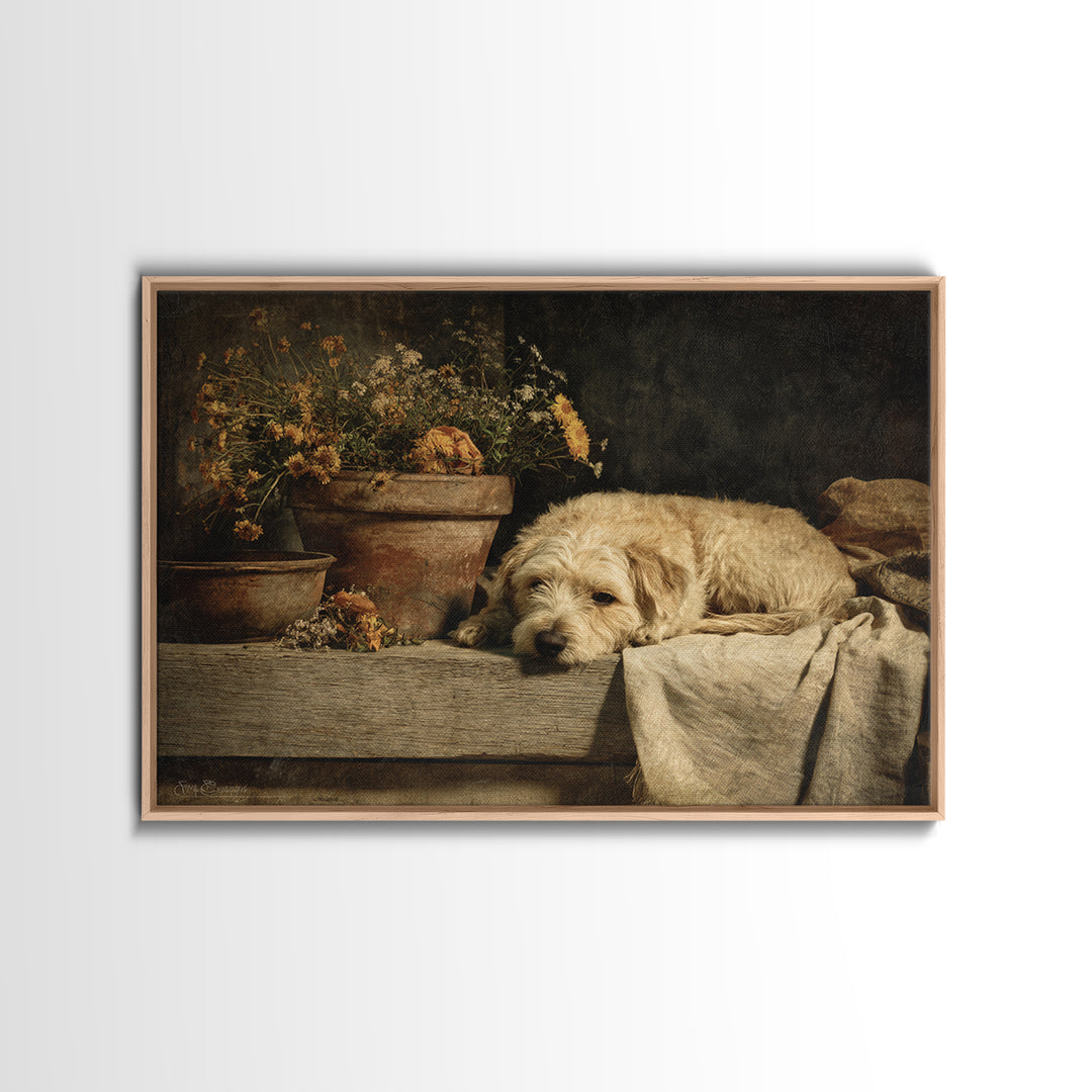 Dog Resting Beside a Porch Flower Pot Framed Canvas Print, Country Art, Farmhouse Decor, Fine Art, Country, Gallery Wall Art, COU-3x2-74