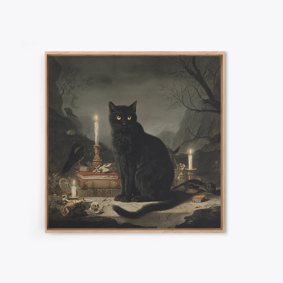 The Black Cat Familiar, Baroque Witchcraft Art, Square Wall Art, Macabre Wall Art, Framed Canvas Print, Halloween Wall Art