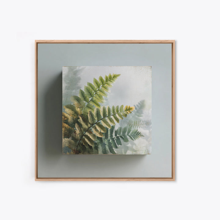 Botanical Fern Study Canvas Print, Dental Office Art, Dental, Office Decor, Fine Art, Calm, Tooth Art, Dentistry Art, DOA-1x1-19