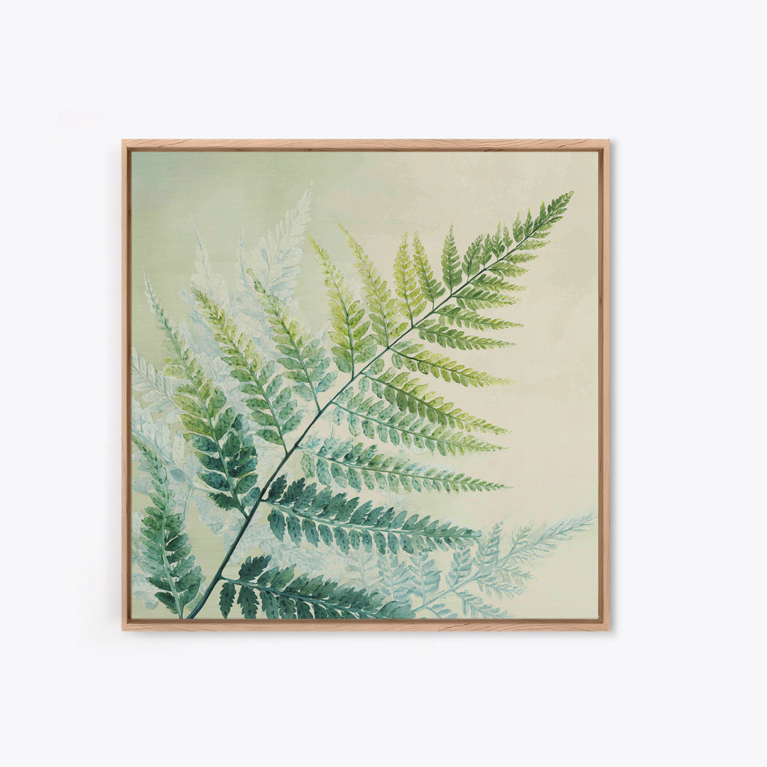 Botanical Fern Study Framed Canvas Print, Dental Office Art, Dental Hygiene, Office Decor, Fine Art, Calm, Medical Office Art, DOA-1x1-43