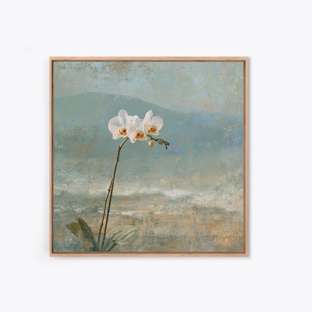 White Orchid on Stone Background Canvas Print, Dental Office Art, Dental Decor, Office Decor, Fine Art, Calm, Wall Decor, DOA-1x1-60
