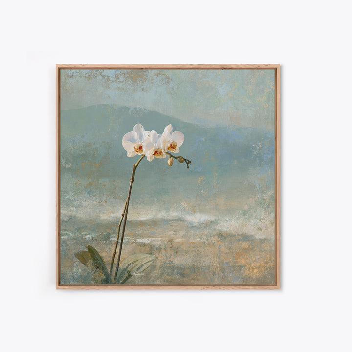 White Orchid on Stone Background Canvas Print, Dental Office Art, Dental Decor, Office Decor, Fine Art, Calm, Wall Decor, DOA-1x1-60