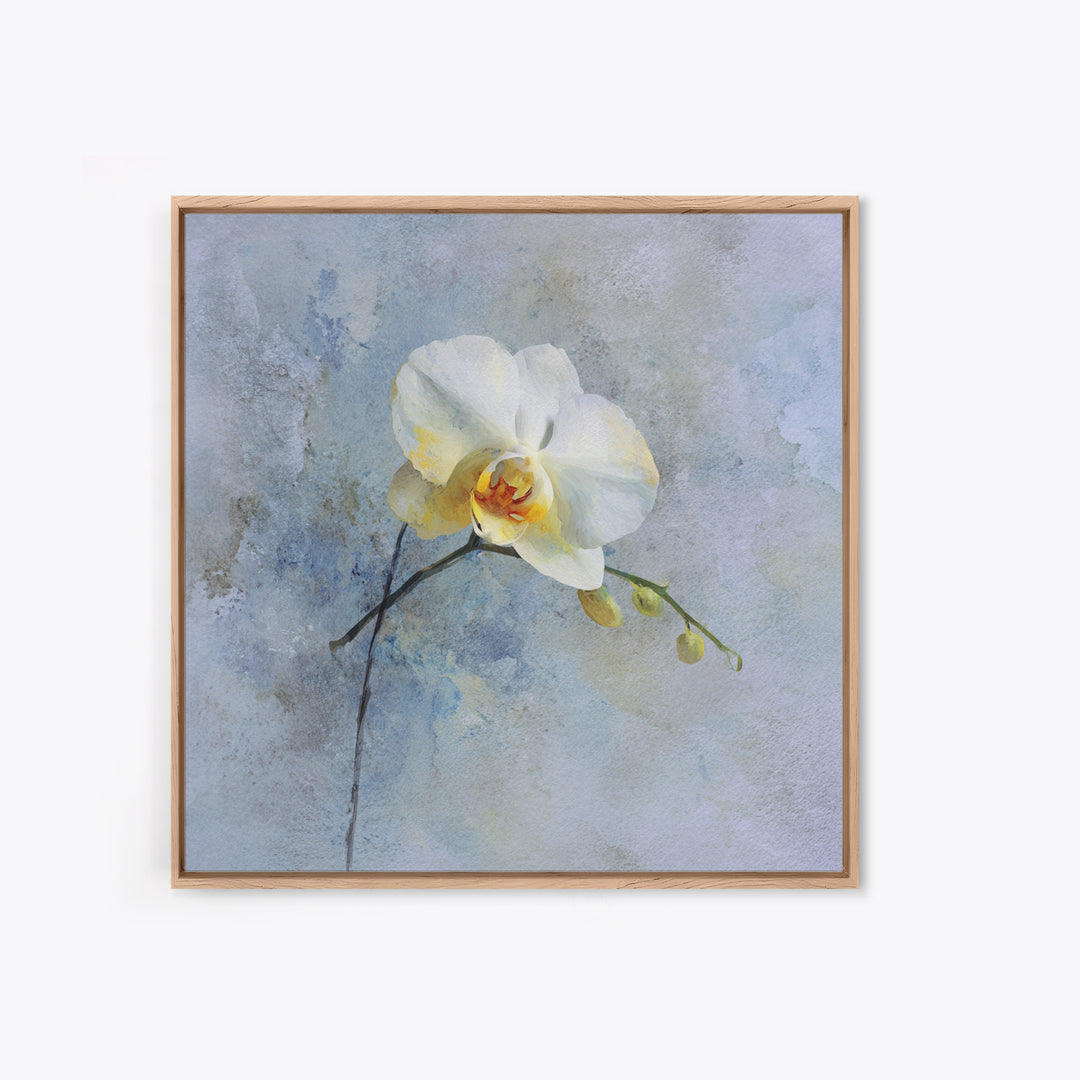 White Orchid on Stone Background Framed Canvas Print, Dental Office Art, Dental Gift, Office Decor, Abstract Art, Calm, DOA-1x1-84