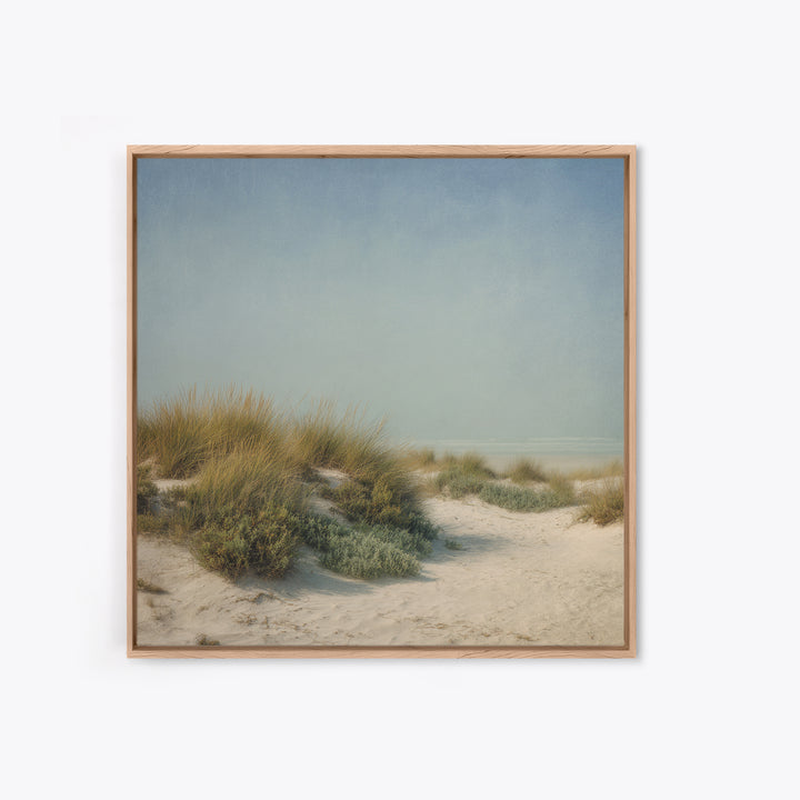 Quiet Coastal Dunes Canvas Print, Dental Office Art, Printable Digital, Office Decor, Calm, Neutral Decor, Modern Decor, DOA-1x1-94