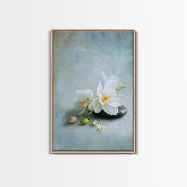 White Orchid on Stone Background Framed Canvas Print, Dental Office Art, Modern Decor, Office Decor, Oil Painting, Calm, DOA-2x3-20