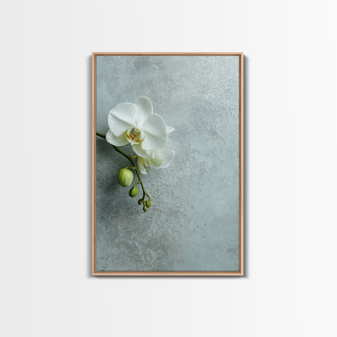White Orchid on Stone Background Framed Canvas Print, Dental Office Art, Modern Decor, Office Decor, Fine Art, Calm, Poster, DOA-2x3-68