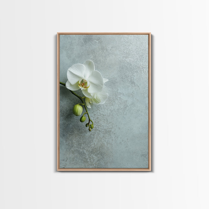 White Orchid on Stone Background Framed Canvas Print, Dental Office Art, Modern Decor, Office Decor, Fine Art, Calm, Poster, DOA-2x3-68