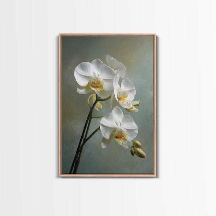 White Orchid on Stone Background Framed Canvas Print, Dental Office Art, Dental Wall Art, Office Decor, Abstract Art, Calm, DOA-2x3-92