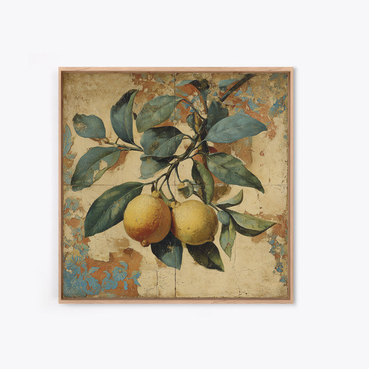 Aged Botanical Plate of Lemons and Leaves Canvas Print, French Country Art, Landscape Wall Art, Farmhouse Decor, Country, FCA-1x1-84