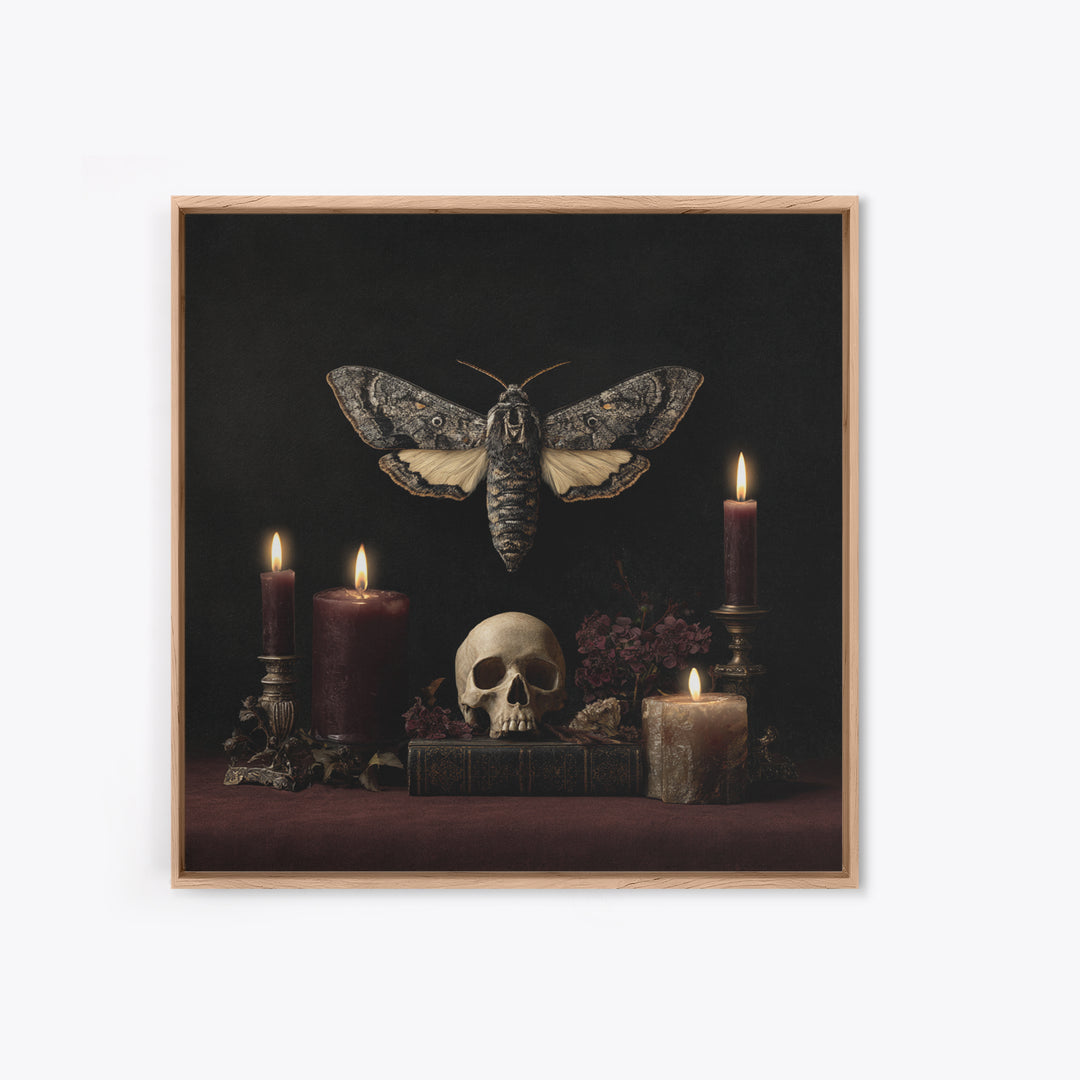 Moth and Skull Composition on Black Velvet Canvas Print, Gothic Art, Canvas Tote Bag, Living Room Decor, Oil Painting, Gothic, GOT-1x1-15